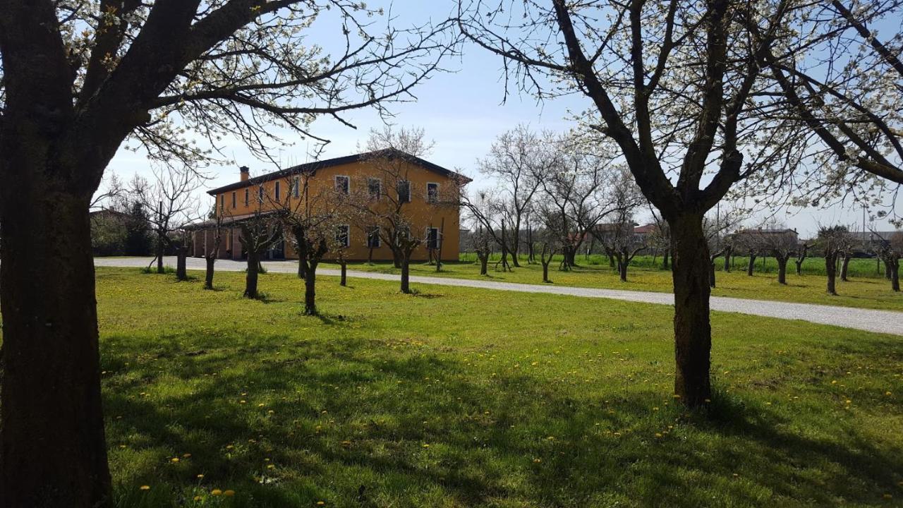 Agriturismo Borgo Borromeo Villa Rubano Eksteriør bilde